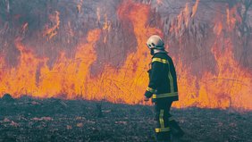 Laut einem UN-Bericht könnten Waldbrände wegen des Klimawandels deutlich zunehmen. Foto: Colourbox
