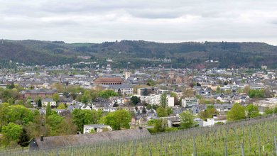 Blick auf die Stadt Trier vom Weinberg aus