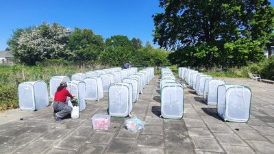 [Translate to Englisch:] Für ihre Untersuchung bauten die Forschenden in einem einfachen Modell eine Nahrungskette nach. Foto: © Andrés García, Uni Kiel 