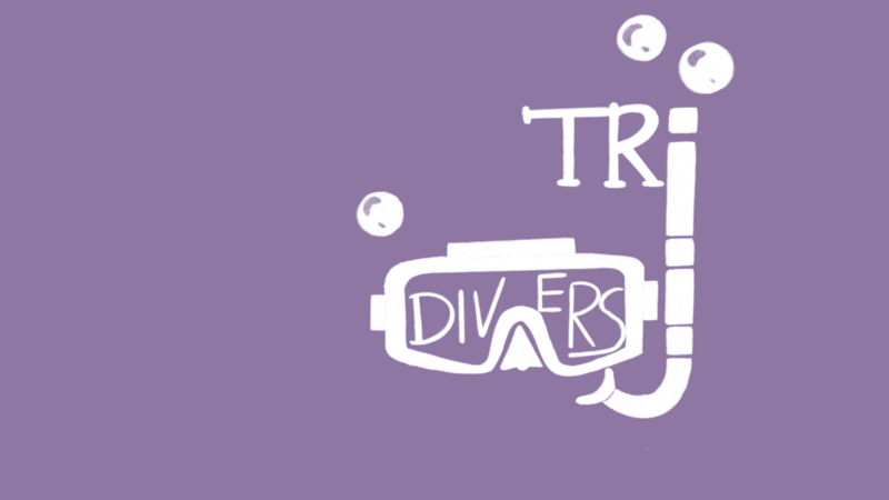 Projekt TriDivers