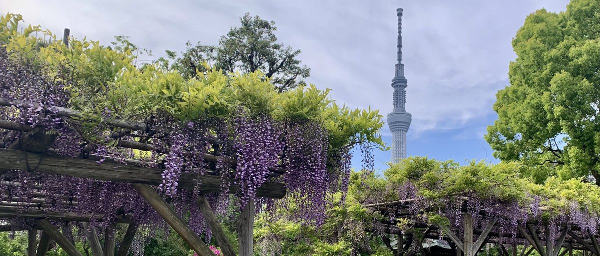 Tokyo Skytree