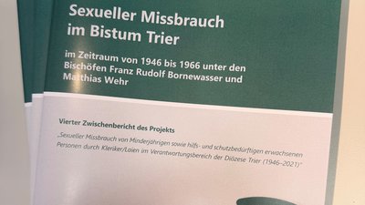 Gedruckte Zwischenberichte des projektes