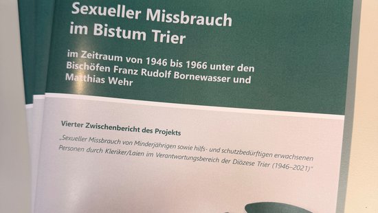 Gedruckte Zwischenberichte des Projektes