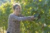 20161011 Weinlese sheilawerner 86
