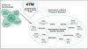 Das von Professor Lutz vorgeschlagene Transtheoretische Therapie & Training Modell (4TM) versteht sich als ein schulenübergreifendes Modell der Psychotherapie. Es werden die für den Patienten beziehungsweise die Patientin am besten passenden wissenschaftlich untersuchten Behandlungsmethoden angewandt.