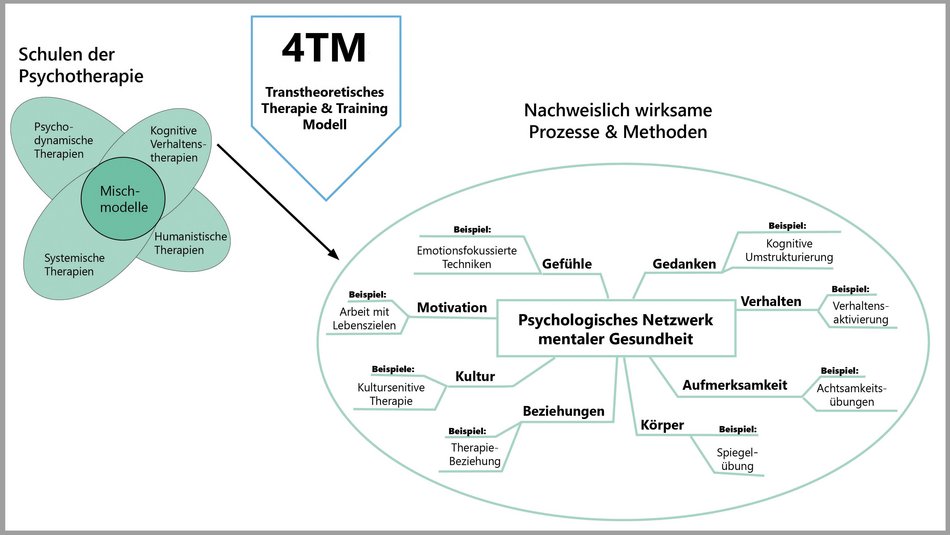 Das von Professor Lutz vorgeschlagene Transtheoretische Therapie & Training Modell (4TM) versteht sich als ein schulenübergreifendes Modell der Psychotherapie. Es werden die für den Patienten beziehungsweise die Patientin am besten passenden wissenschaftlich untersuchten Behandlungsmethoden angewandt.