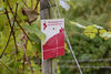 20151019 Weinlese sn 27