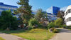 Die angehenden Fachinformatiker der Uni Trier schätzen den grünen Campus - und den Weg zur Cafeteria. Foto: Oliver Hartl