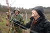 Rebschnitt bei Regen