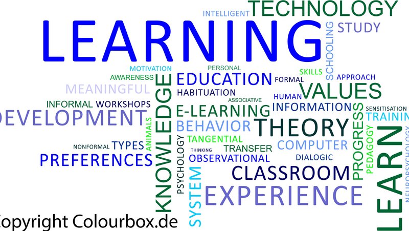 Schaubild Studieninhalte