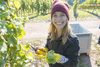 20161011 Weinlese sheilawerner 11
