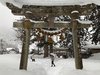 Torii