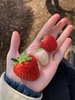 Erdbeeren
