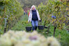 20151019 Weinlese sn 31