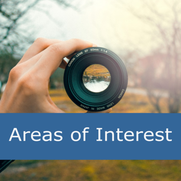 areas of interest corporate management