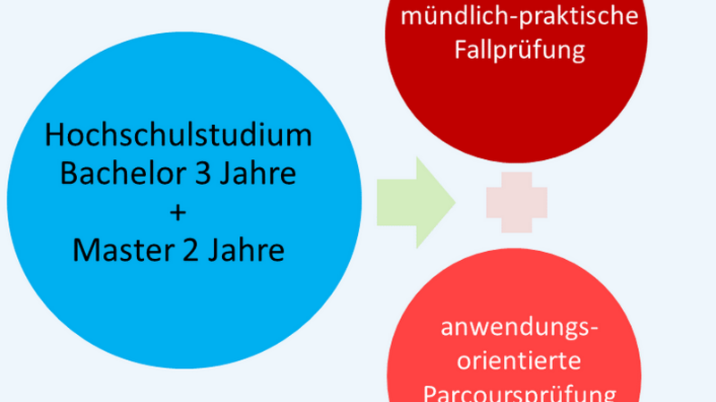 Drei Kreise mit den Bestandteilen Masterstudium, Fallprüfung und Parcoursprüfung