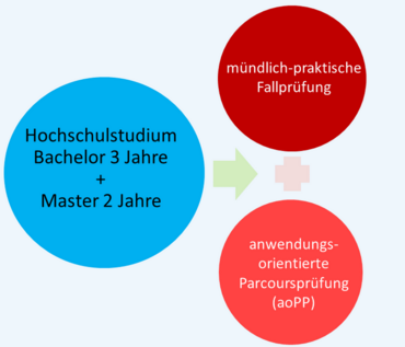 Drei Kreise mit den Bestandteilen Masterstudium, Fallprüfung und Parcoursprüfung