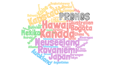 PROMOS Wordcloud