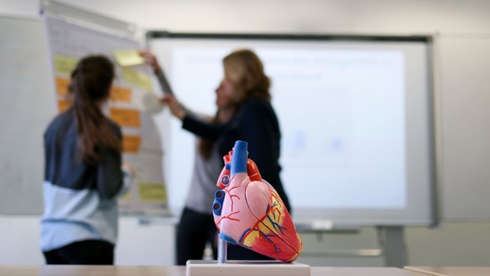 Im Vordergrund Modell von einem Herzen, im Hintergrund an einer Flipchart Forscherinnen der Pflegewissenschaft an der Uni Trier