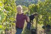 20161011 Weinlese sheilawerner 22