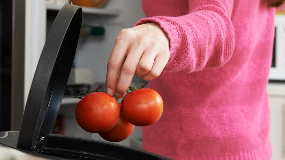 Private Verbraucher sind in Deutschland jährlich für fünf Millionen Tonnen unnötig weggeworfene Lebensmittel verantwortlich. Foto: www.colourbox.de