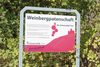 20161011 Weinlese sheilawerner 24