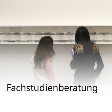 Fachstudienberatung