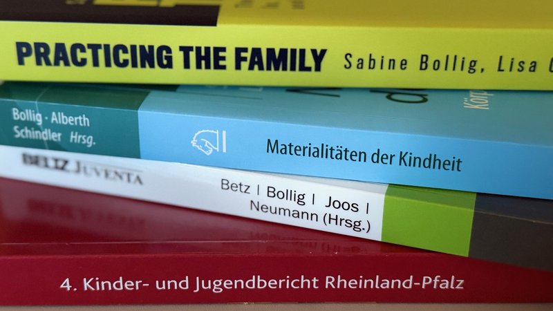 Verschiedene Bücher an denen das Team der SPII beteiligt waren