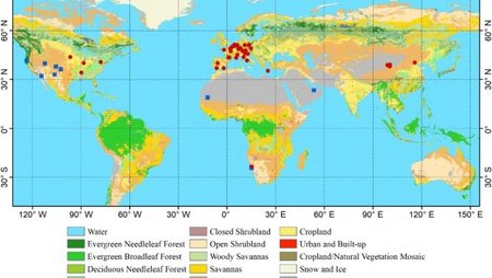 Spatial locations of the selected sites