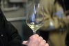 Der neue Jahrgang vom Uni-Wein 2016