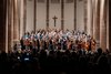 Blick auf das komplette Collegium Musicum