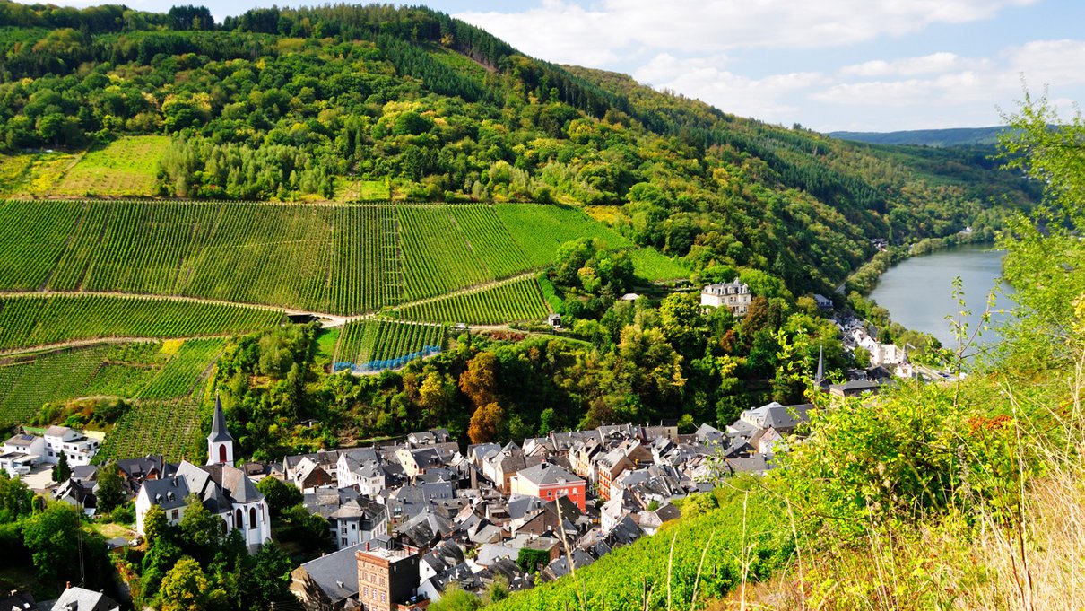 Traben-Trabach von oben, Stadt im Tal und Weinberge im Hintergrund und die Mosel