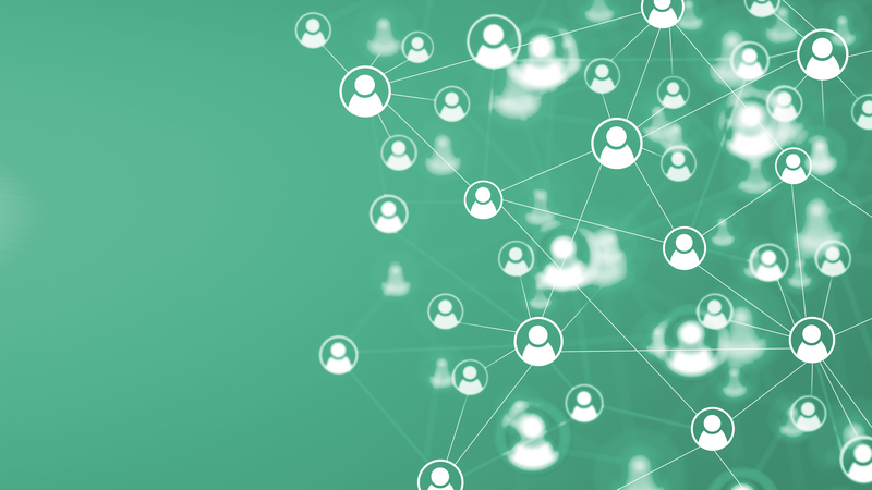 Team Network