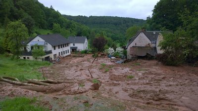 Das Bild zeigt das Busental in Trier. Foto: Madeleine Hill, Universität Trier. 