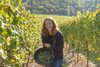 20161011 Weinlese sheilawerner 75