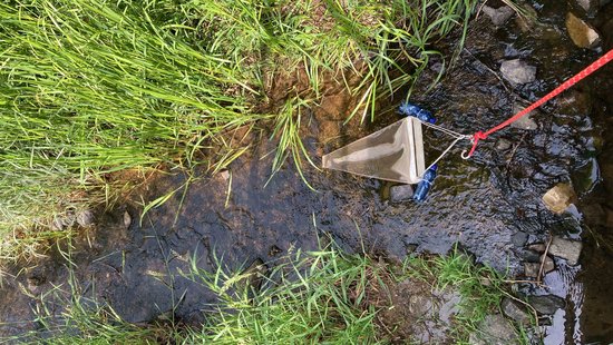 In allen untersuchten Gewässern fanden die Studierenden bei ihrer Untersuchung unterschiedlich große Mikroplastikteile.  