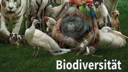 Cover UB Biodiversität