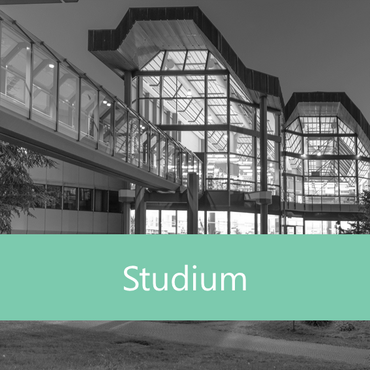 Studium