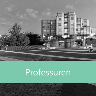Professuren