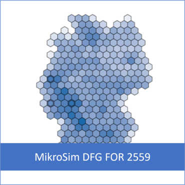 MikroSim DFG FOR 2559
