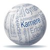 Symbolbild Karriere: Ball mit Beschriftung Karriere, Erfolg, Job, Aufstiegschancen, u.a.