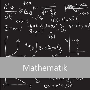 Mathe Professuren