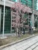 Rathaus Sumiyoshi