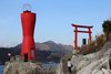 Torii