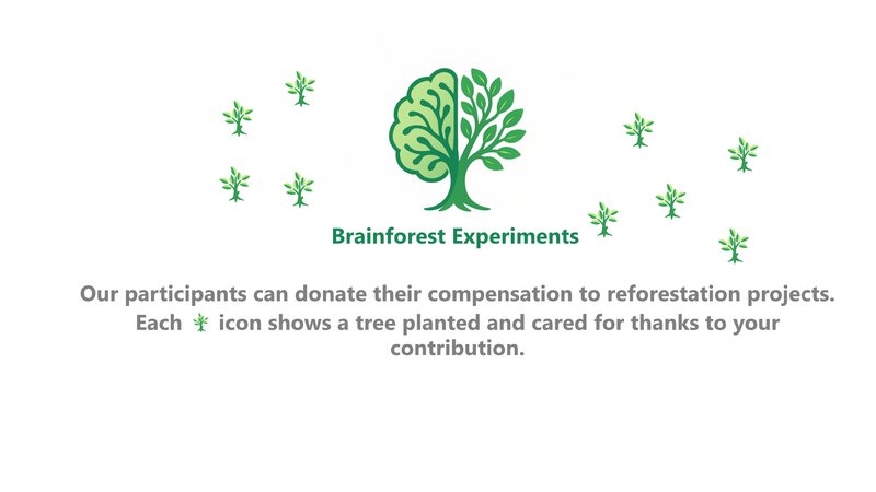 Brainforest