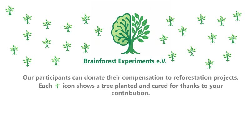 Brainforest
