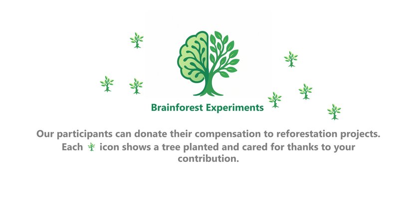 Brainforest