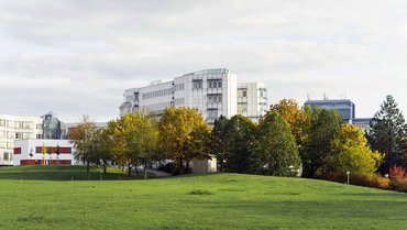 Building D of the university behind a meadow with trees.