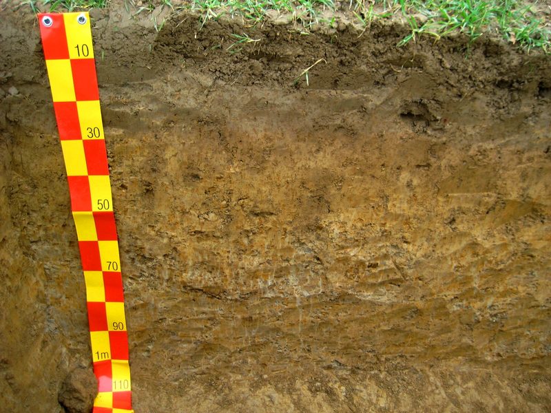 uni trier bodenkunde about us soil science