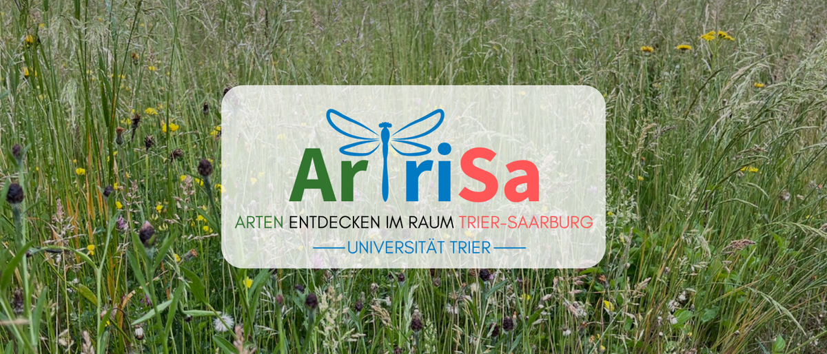 ArTriSa Titelbild